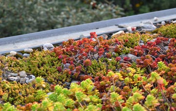 the cost of Tivington green roof installation
