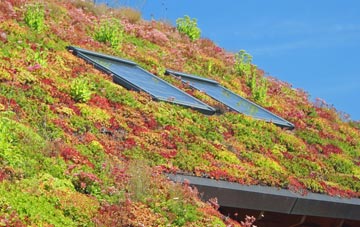 Tivington living roof systems